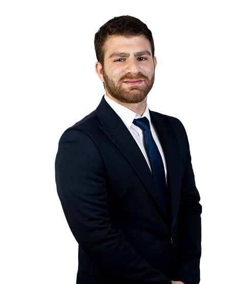 امیر محمد بلوری