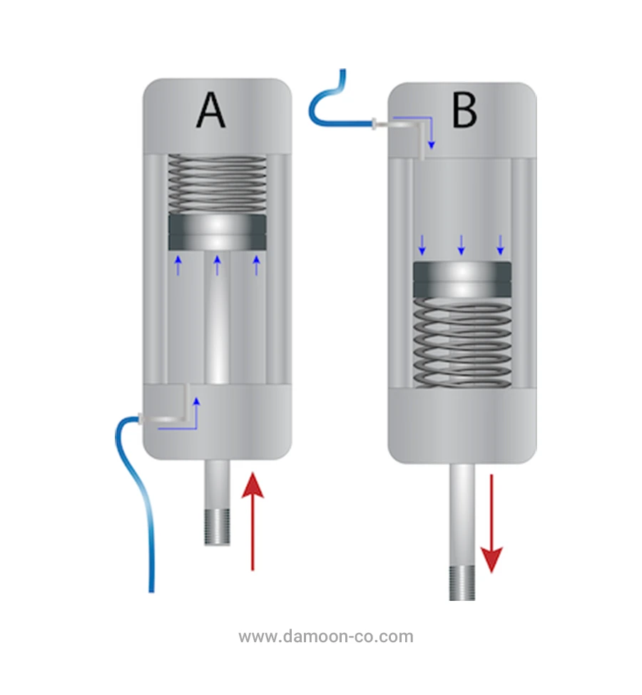جک پروفیلی تکاثره