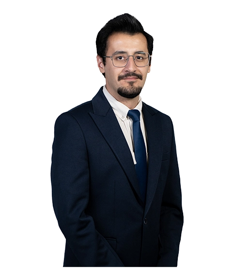 امیرحسین سجده