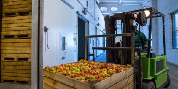 تاثیر سردخانه بر رشد و اقتصاد محلی