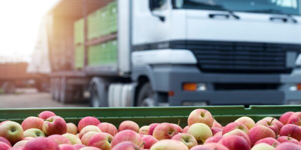 صادرات میوه با استفاده از نگهداری در سردخانه