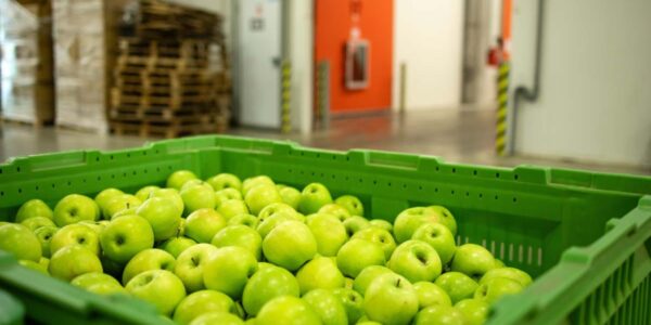 پیشگیری از بیماری‌ها و خرابی‌های میوه در سردخانه