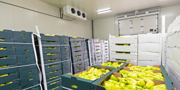 اصول نگهداری از میوه و سبزیجات در سردخانه