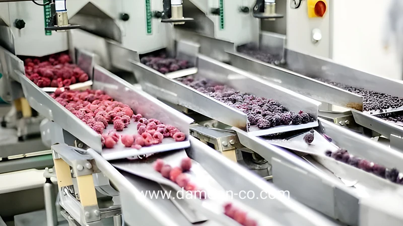 جک در محیط سردخانه ای